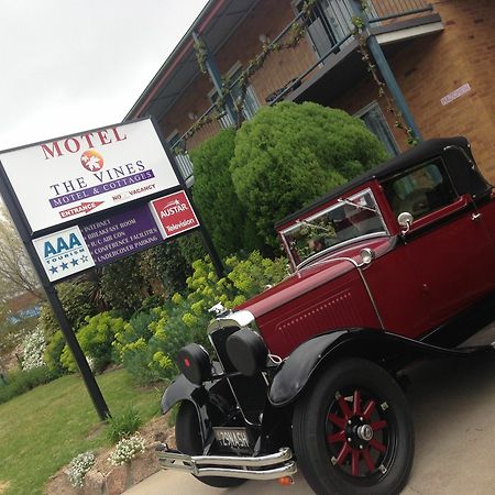 The Vines Motel & Cottages Stanthorpe Exterior foto